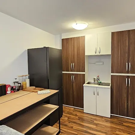 Industrial Vibe Flat Apartment Ljubljana