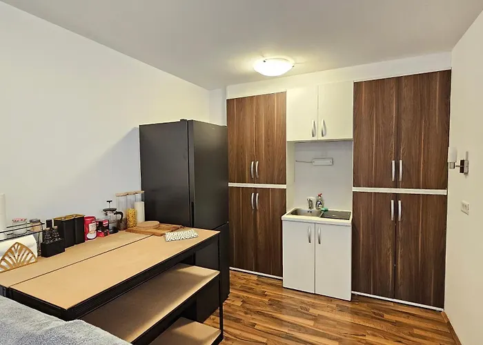 Industrial Vibe Flat Apartment Ljubljana